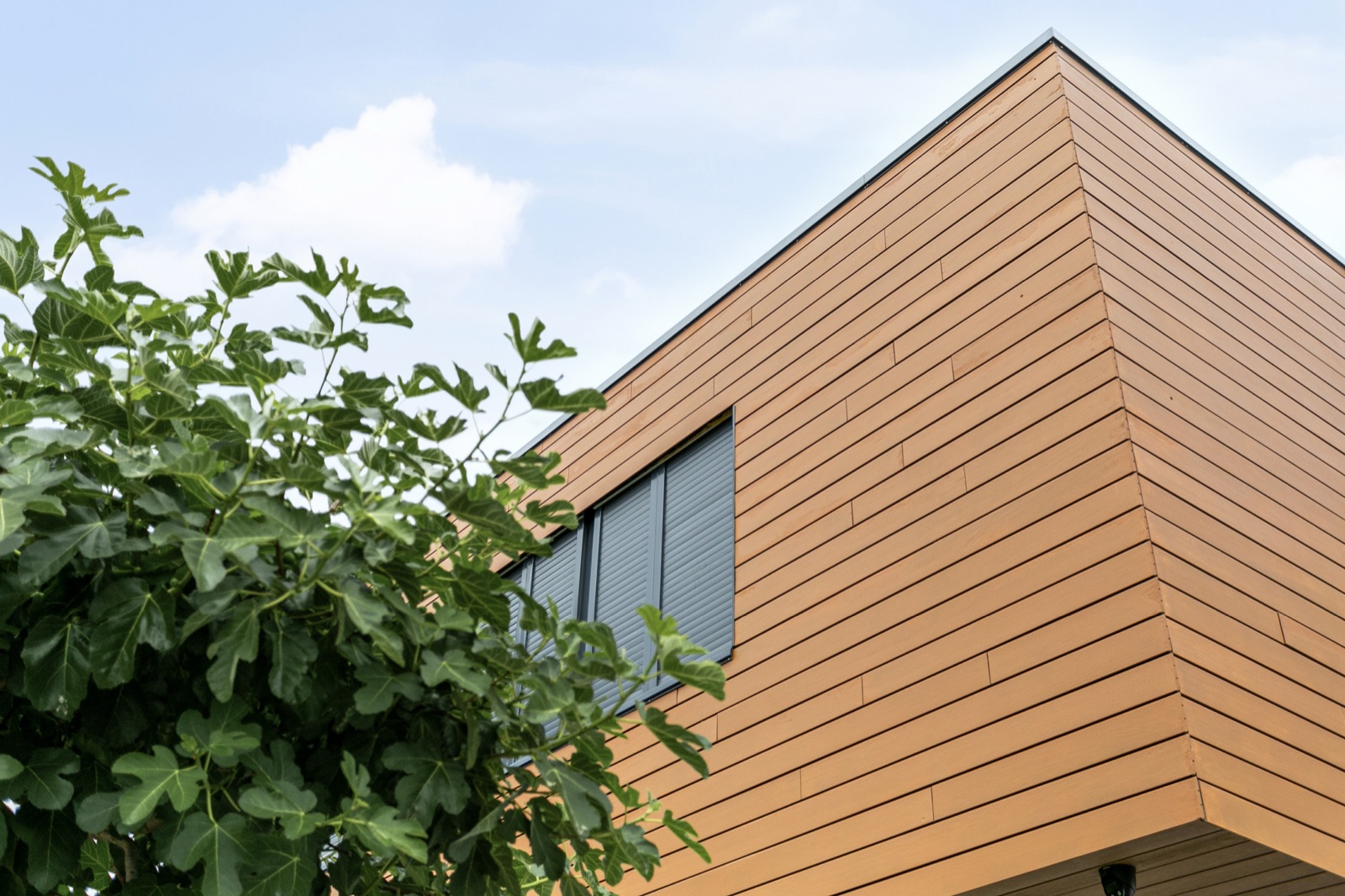 Vrijstaande villa Willemstad — foto 31
